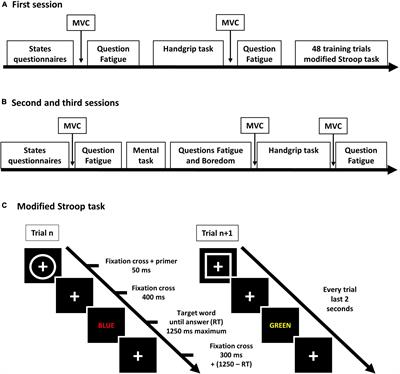A plausible link between the time-on-task effect and the sequential task effect